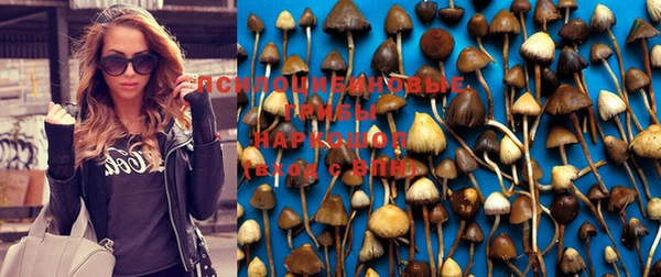 мяу мяу кристалл Армянск